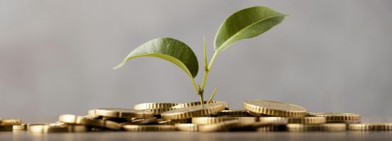 Основы финансовой грамотности для предпринимателей АПК